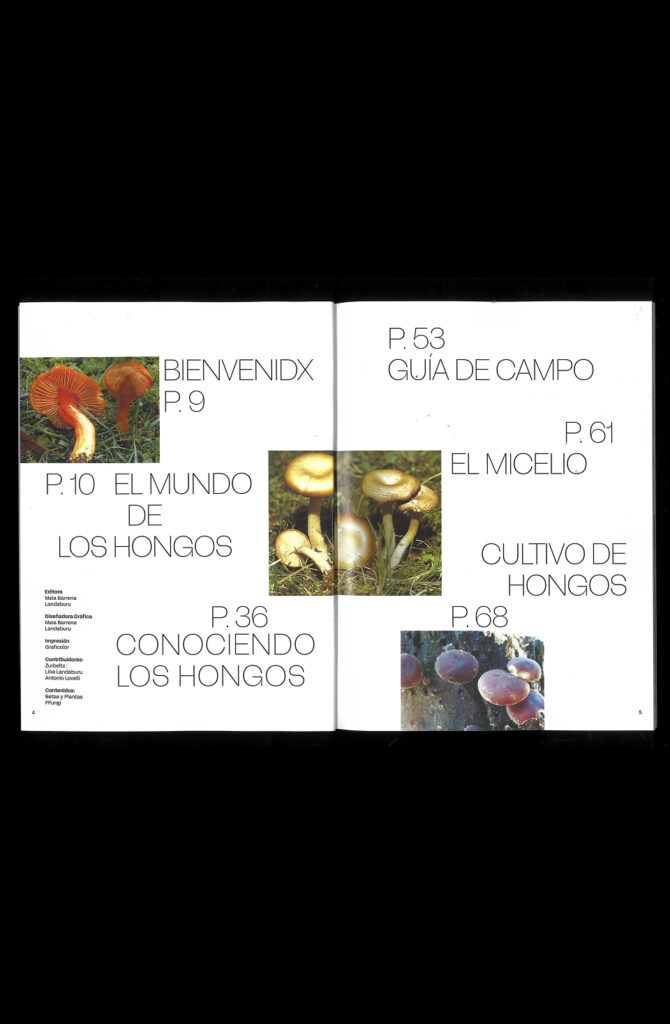 Frame 14-3